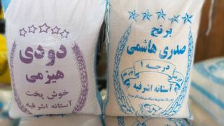 برنج صدری هاشمی3 الکه با پخت عالی کیسه 20کیلویی ارسال رایگان تازه1404